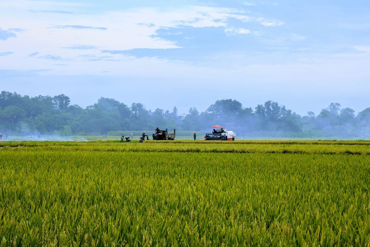agriculture land
